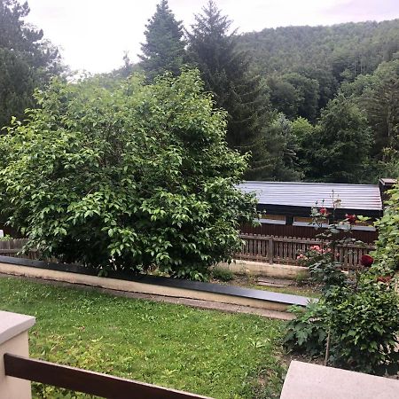 Villa Rafael Forchtenstein 外观 照片